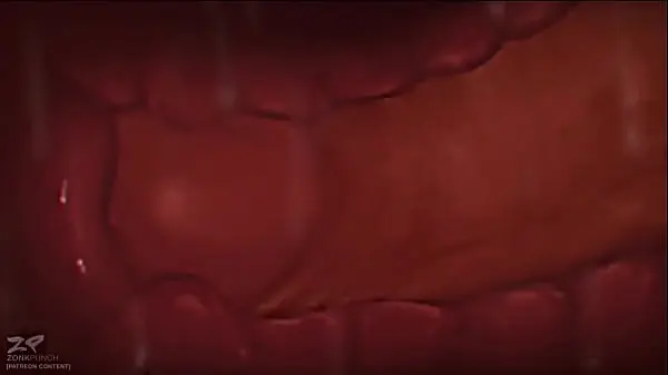 Braixen x Charizard (reversed)