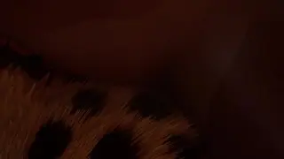 Cheetah Yiffs Twink Boy & Cums Inside Him (Furry Gay Sex) | Wild Life Furries