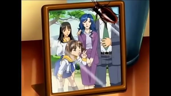 Shimai