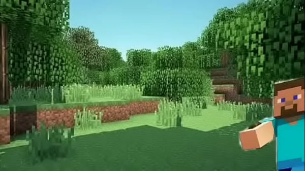 Minecraft intro