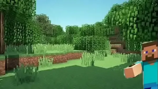 Minecraft intro