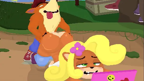 Crash’s Reward Shoestrang