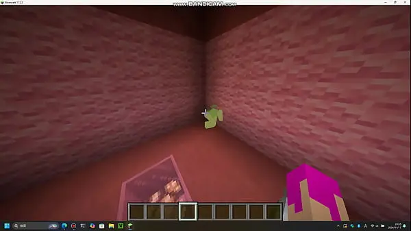minecraft jenny sex