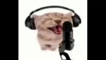 nada que ver